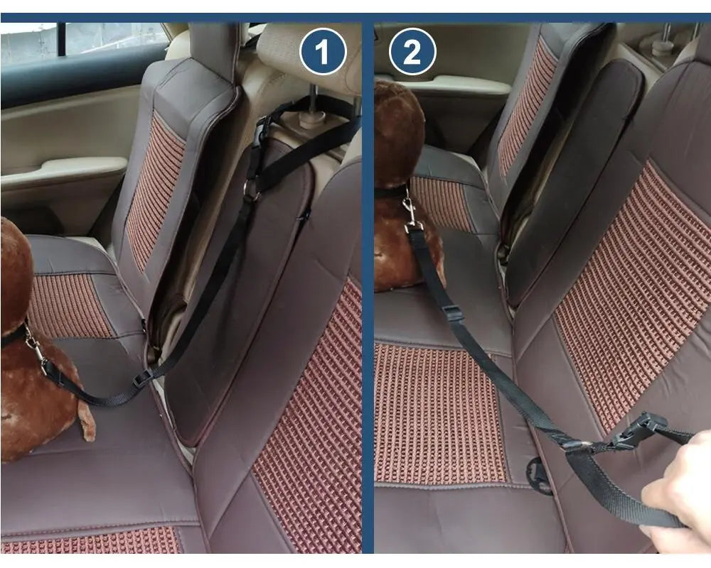 Pet Seat Belt Leash WLP Company