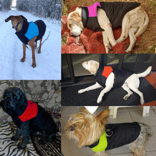 Fashion Waterproof Winter Dog's Vest - Polyester Outdoor Clothing