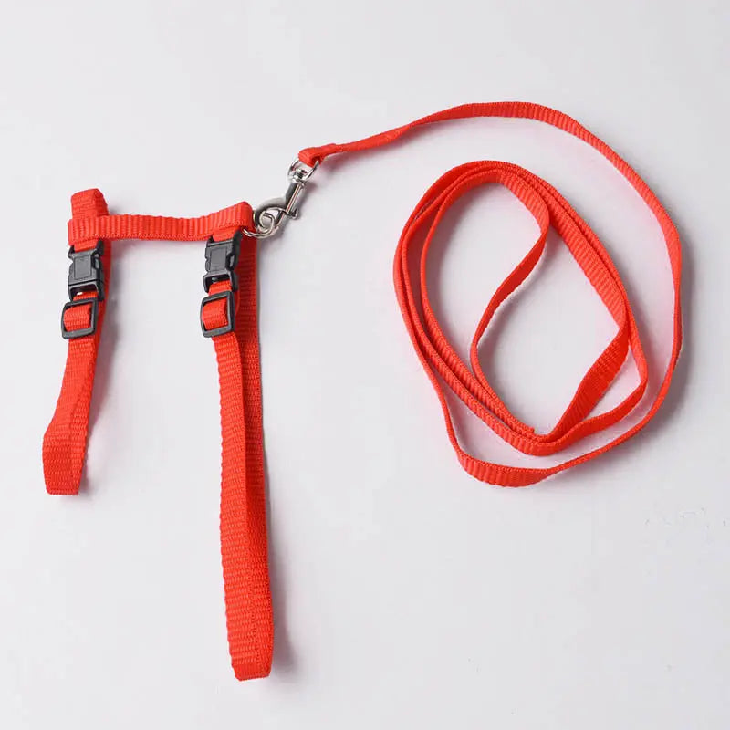 cat harness Adjustable Cat Walking Harness WLP Company