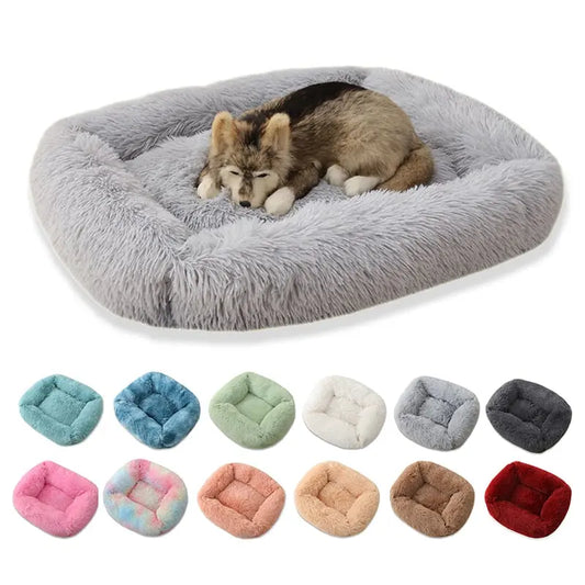 Dogs Long Plush Solid Bed WLP Company