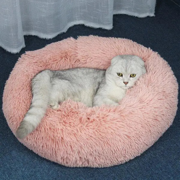 fluffy pet bed Pet's Round Shaped Fluffy Bed WLP Company