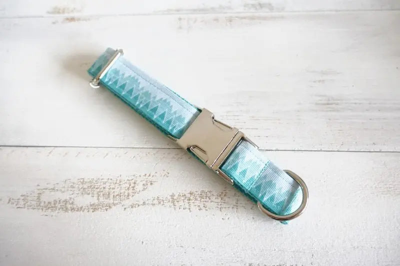 Turquois Dog Collar and Leash Set - Stylish and Durable WLP Company