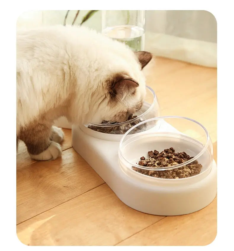 Triple Cat Bowl with Automatic Water Feeder WLP Company