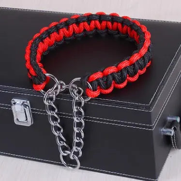 braided nylon dog collar Durable & Stylish Bright Braided Nylon Dog's Collar WLP Company