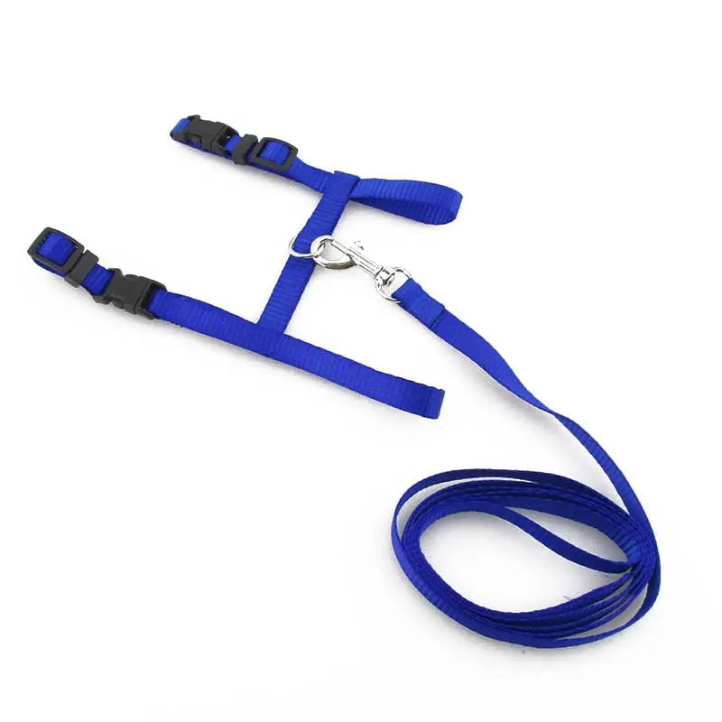 cat harness Adjustable Cat Walking Harness WLP Company