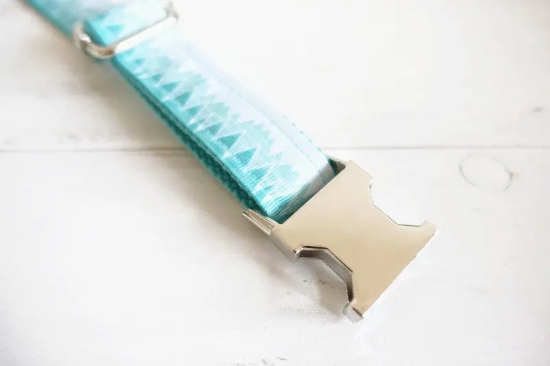Turquois Dog Collar and Leash Set - Stylish and Durable WLP Company
