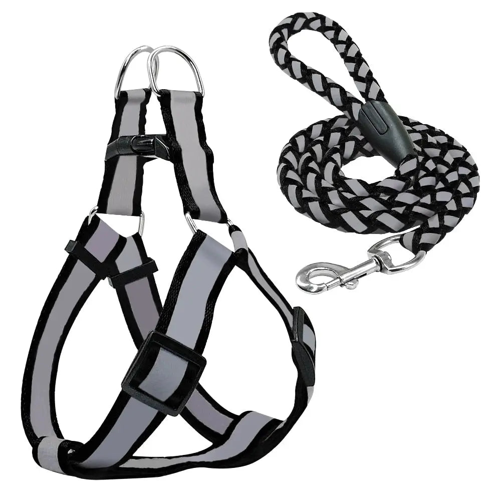 Step-in Reflective Nylon Dog Vest with Leash Set - Enhanced Safety & Visibility WLP Company