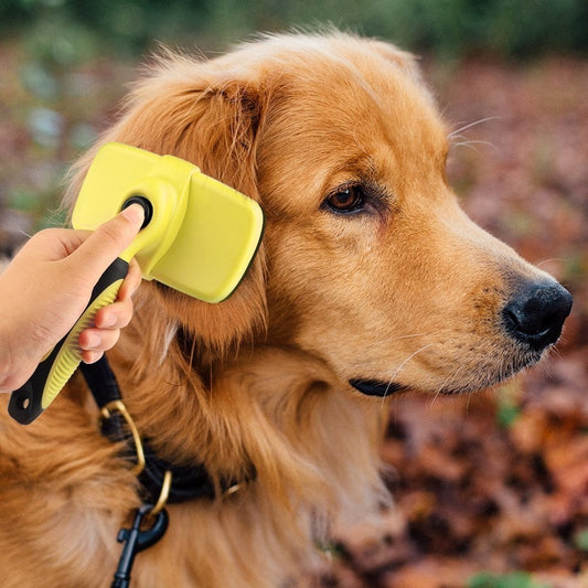 Luxury Pet Grooming Brush - Comfort & Style