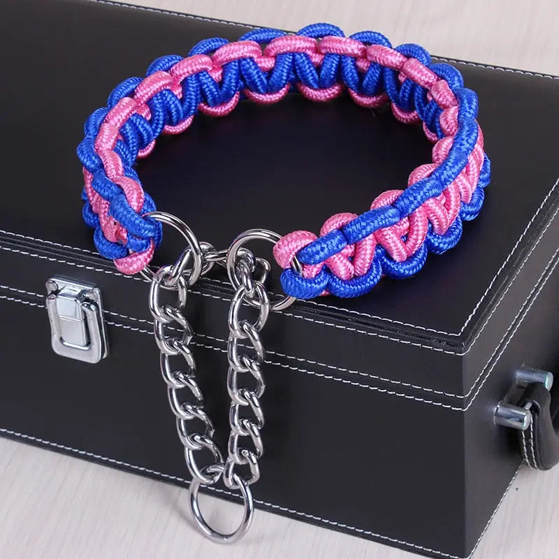 braided nylon dog collar Durable & Stylish Bright Braided Nylon Dog's Collar WLP Company