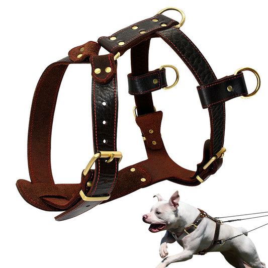 Adjustable Genuine Leather Dog's Harness - Premium Comfort & Durability
