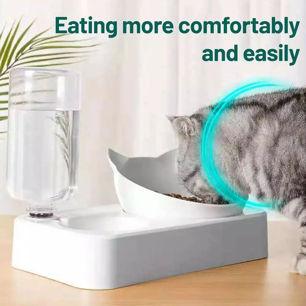 cat food bowl s Food and Water Bowl WLP Company