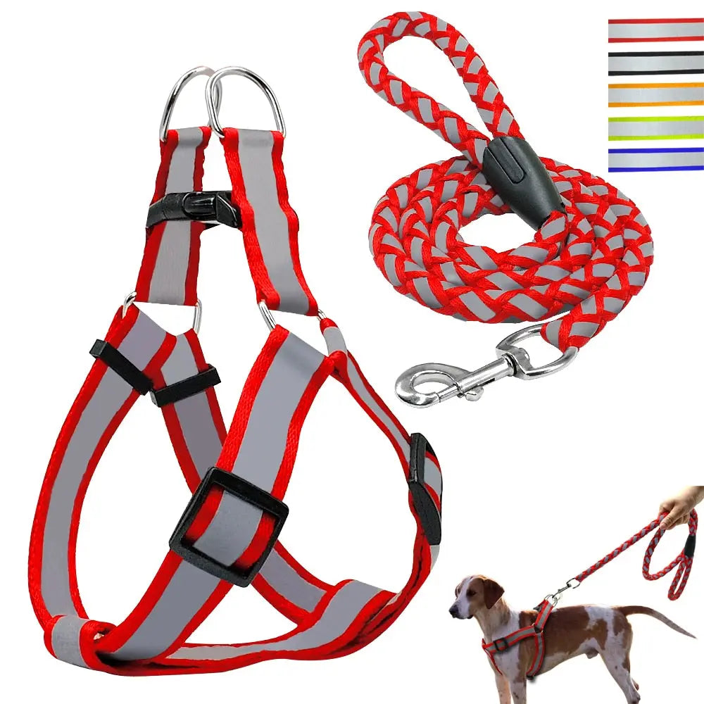 Step-in Reflective Nylon Dog Vest with Leash Set - Enhanced Safety & Visibility WLP Company