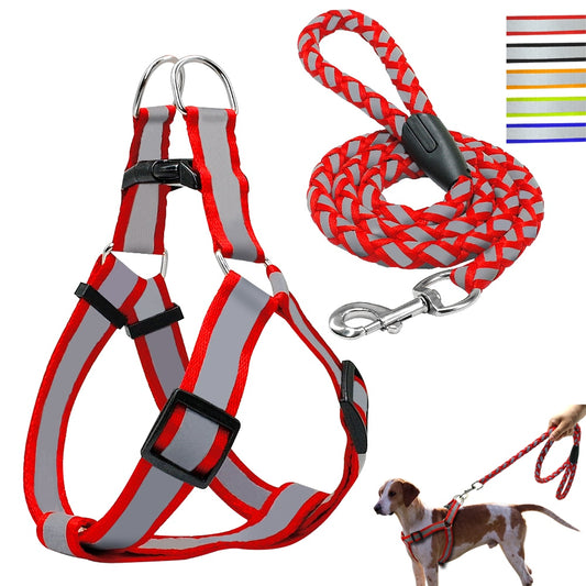 Step-in Reflective Nylon Dog Vest with Leash Set - Enhanced Safety & Visibility