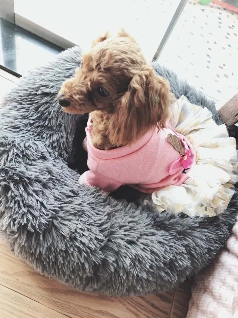 fluffy pet bed Pet's Round Shaped Fluffy Bed WLP Company