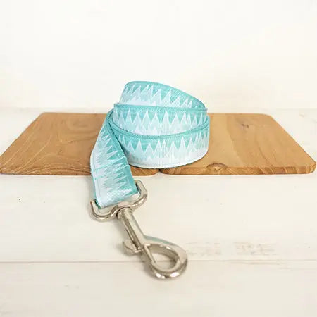 Turquois Dog Collar and Leash Set - Stylish and Durable WLP Company