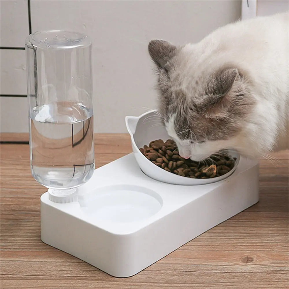 cat food bowl s Food and Water Bowl WLP Company