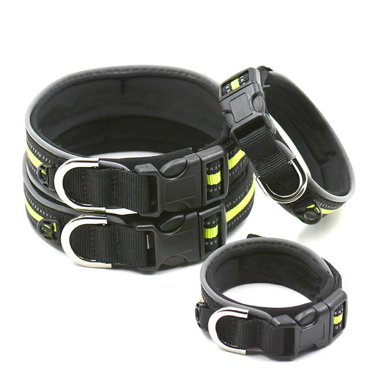 premium dog collar Nylon Dog Collar - Comfort & Durability WLP Company