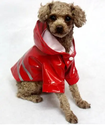Glossy Leather Waterproof Dog Raincoat - Premium Weather Protection WLP Company