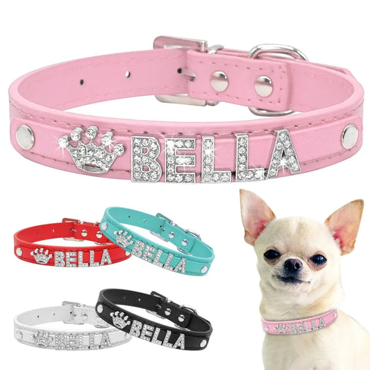 dog collar Bella Crystal Collar WLP Company
