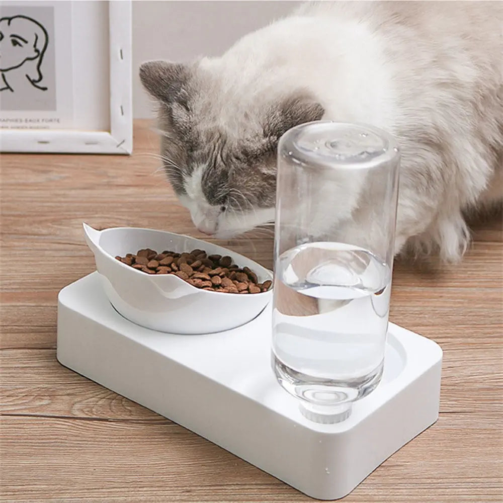 cat food bowl s Food and Water Bowl WLP Company