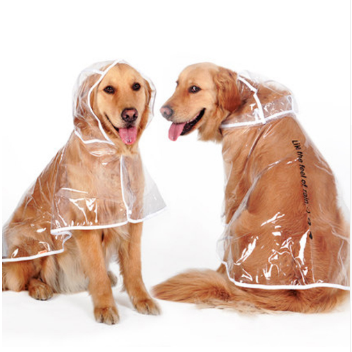 Transparent Autumn Dog Raincoat