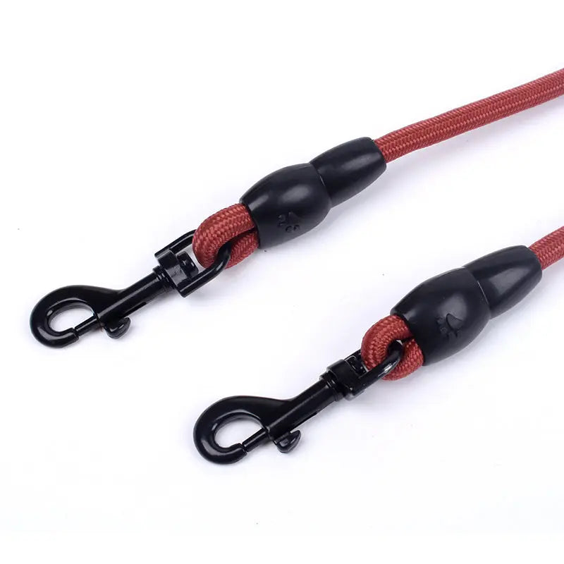Adventure Awaits! Double Headed Traction Rope for Pets WLP Company