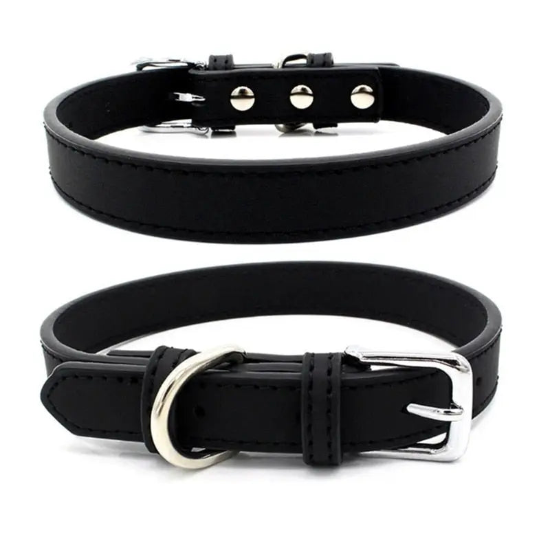 Stylish Solid Color Collar for Small Dogs - Perfect Accessory for Your Pet WLP Company