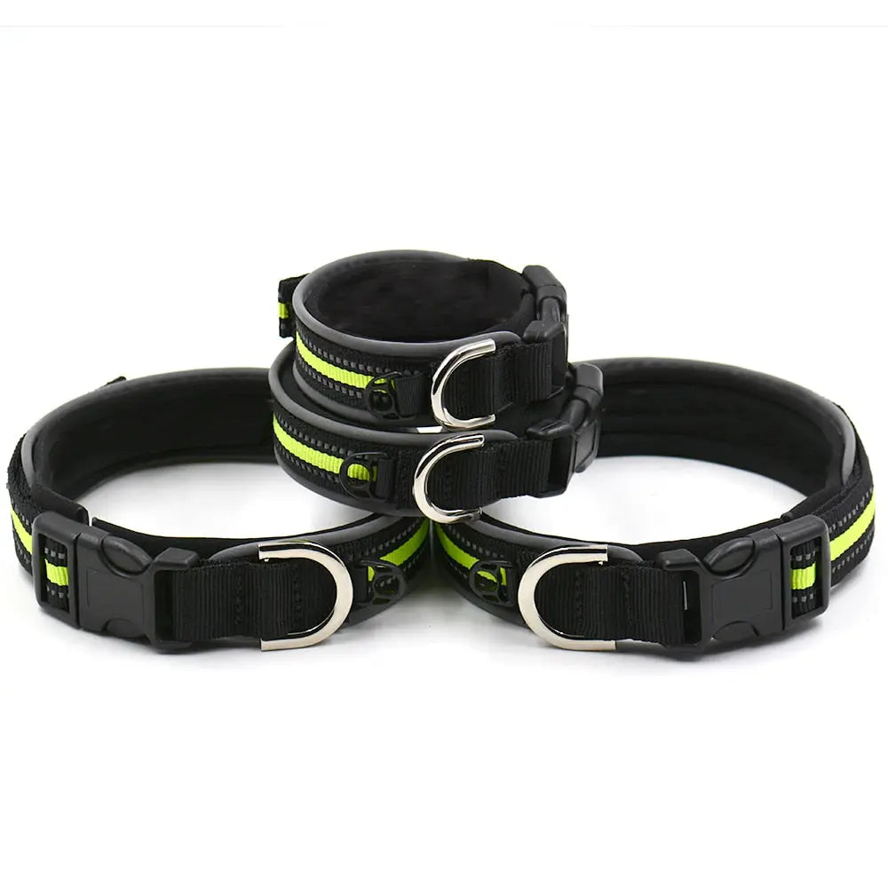 premium dog collar Nylon Dog Collar - Comfort & Durability WLP Company