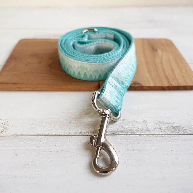 Turquois Dog Collar and Leash Set - Stylish and Durable WLP Company