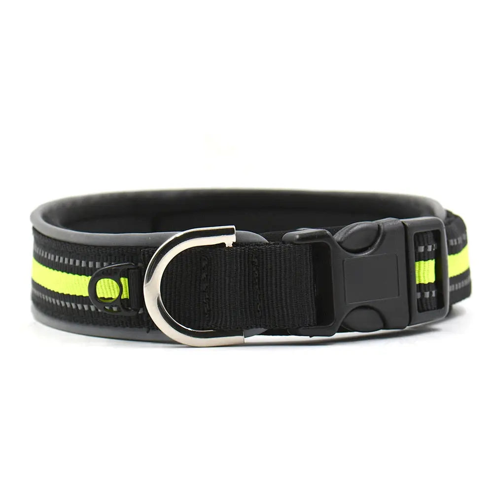 premium dog collar Nylon Dog Collar - Comfort & Durability WLP Company