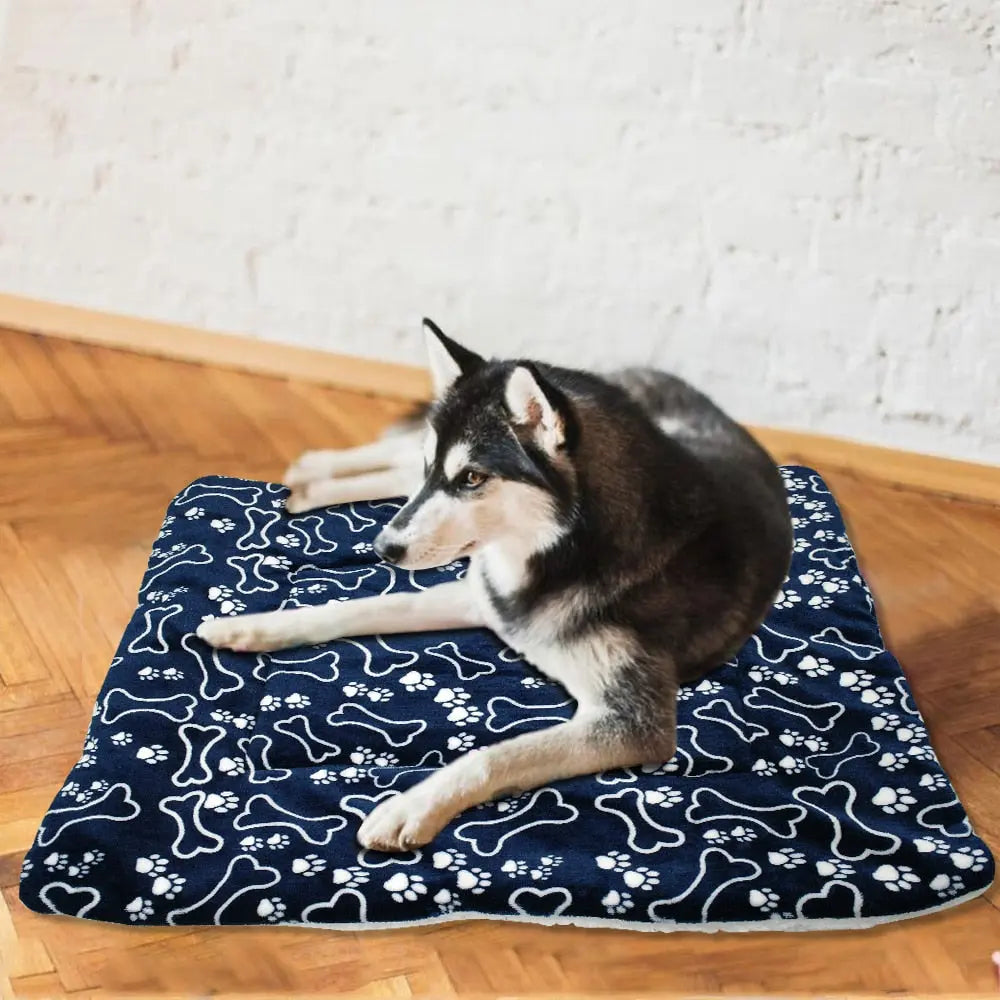 Warm Lamb Velvet Dog Mat with Colorful Print WLP Company