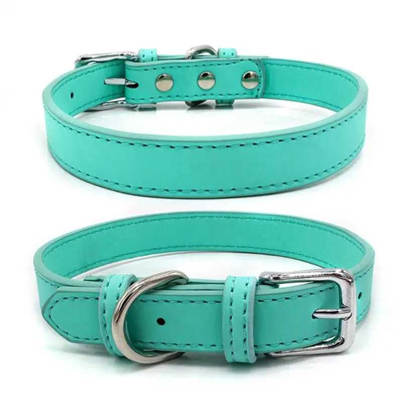 Stylish Solid Color Collar for Small Dogs - Perfect Accessory for Your Pet WLP Company