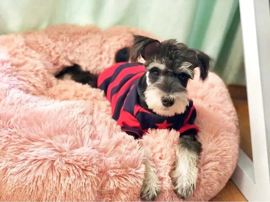 fluffy pet bed Pet's Round Shaped Fluffy Bed WLP Company