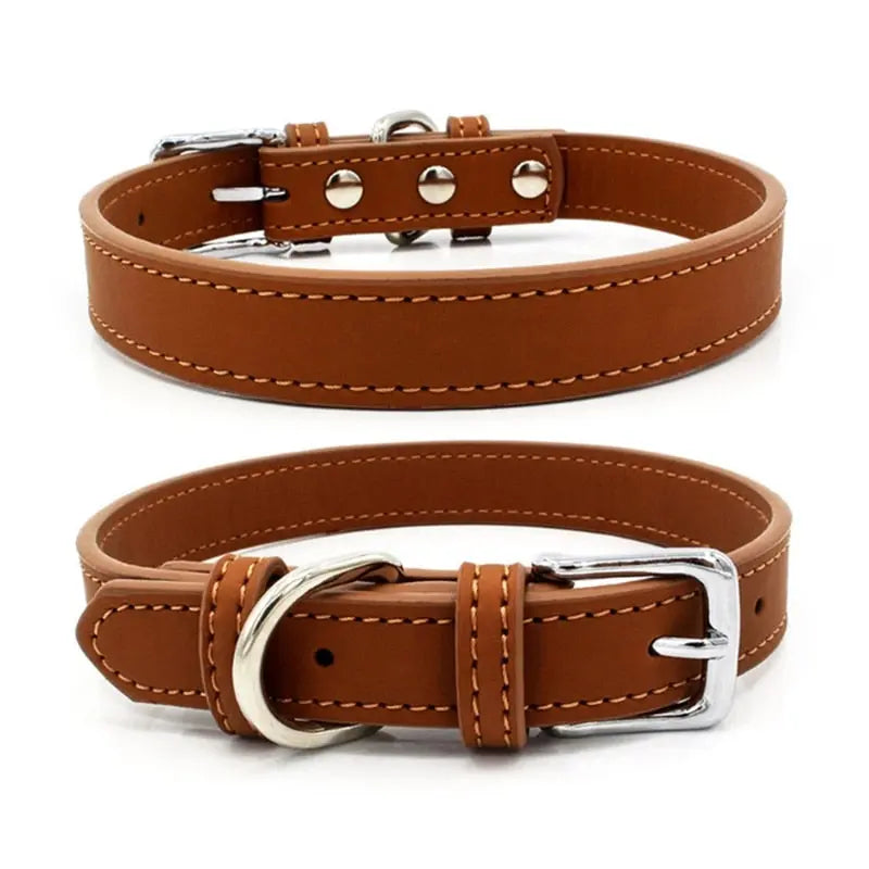 Stylish Solid Color Collar for Small Dogs - Perfect Accessory for Your Pet WLP Company