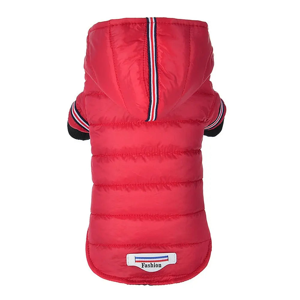 winter dog jacket Jacket for Dogs - Polyester Cold Weather Protection WLP Company