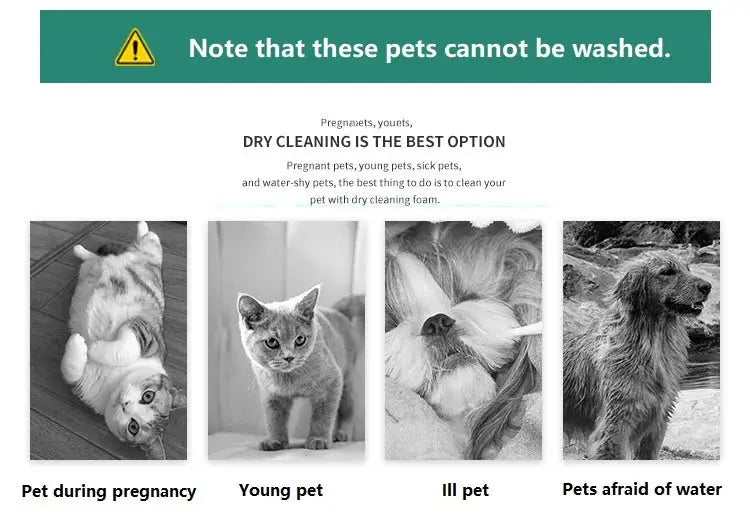Pet Dry Cleaning Foam, Water-Free, Dog, Cat, Puppy Shower Gel, Super Shampoo Deodorant WLP Company