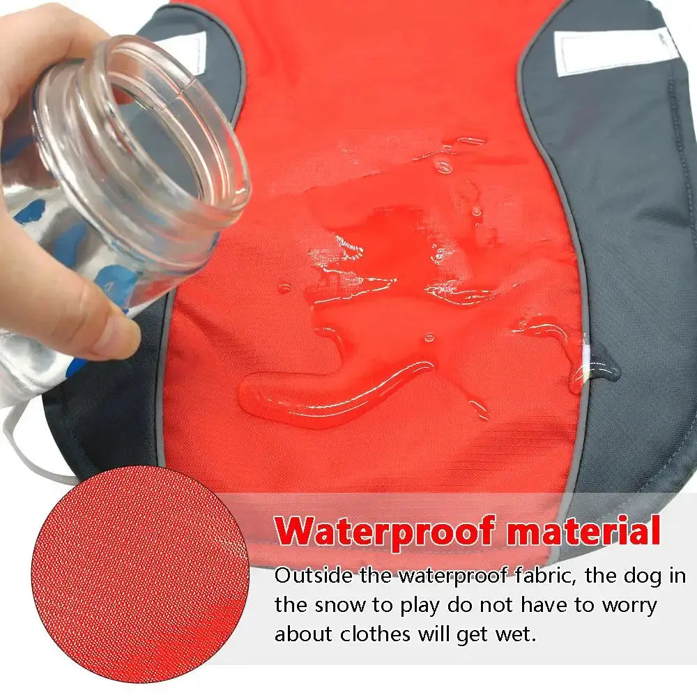 Bulldog winter jacket /Chihuahua Winter Jacket - Waterproof & Reflective WLP Company