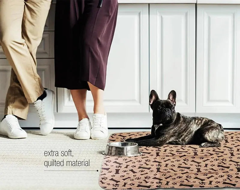 ZK20 Dog Bed Mats ZK20 Reusable Dog Bed Mats - Waterproof Fast Absorbing Training Pads WLP Company