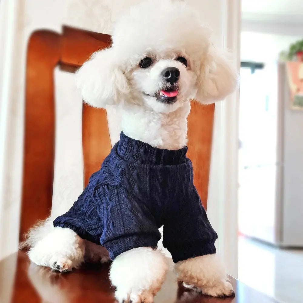 Warm Wool Knitted Turtleneck Cat Sweater WLP Company