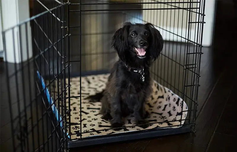 ZK20 Dog Bed Mats ZK20 Reusable Dog Bed Mats - Waterproof Fast Absorbing Training Pads WLP Company