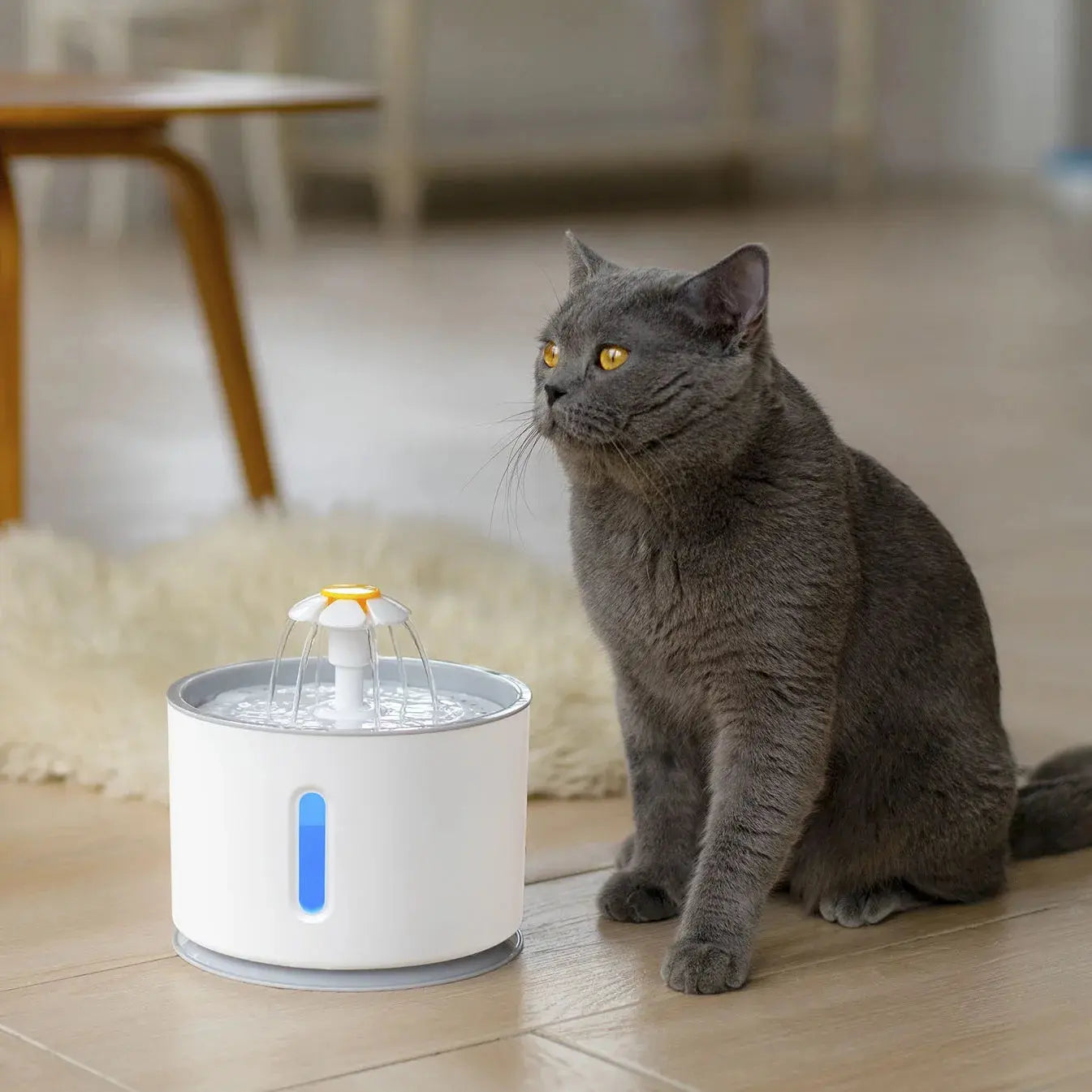 2.4L Automatic Pet Water Fountain WLP Company