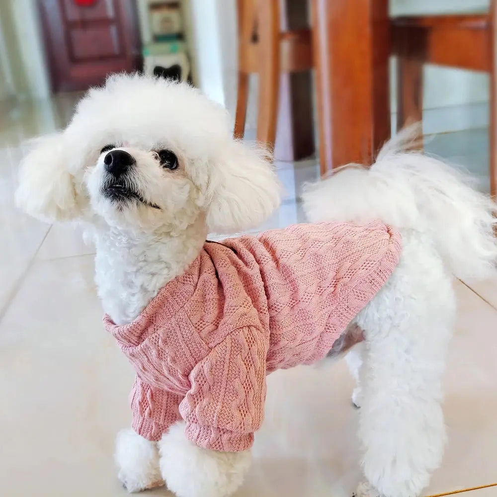 Warm Wool Knitted Turtleneck Cat Sweater WLP Company