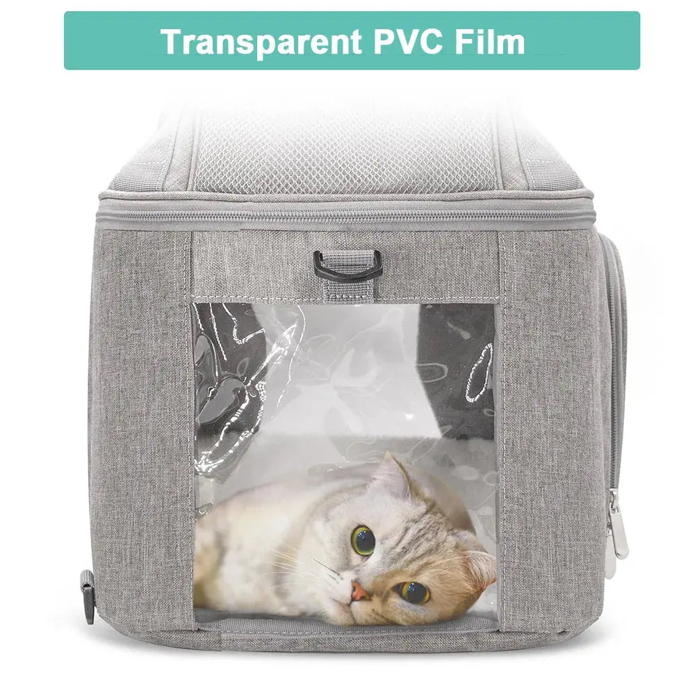 Dog Backpack Breathable Pet Portable Foldable Carrier Bag Travel Airline Approved Transport Bag For Small Dogs And Cats Outgoing WLP Company
