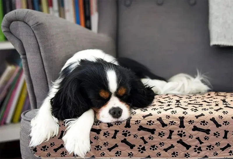 ZK20 Dog Bed Mats ZK20 Reusable Dog Bed Mats - Waterproof Fast Absorbing Training Pads WLP Company