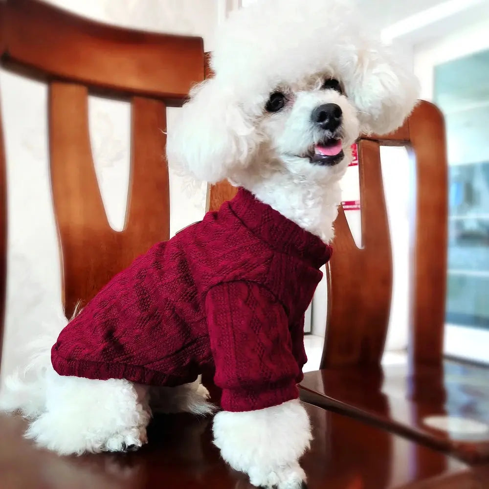 Warm Wool Knitted Turtleneck Cat Sweater WLP Company