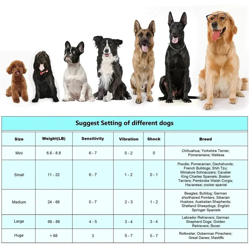 Automatic Pet Collar Paipaitek Automatic Pet Anti-Barking Training Collar WLP Company