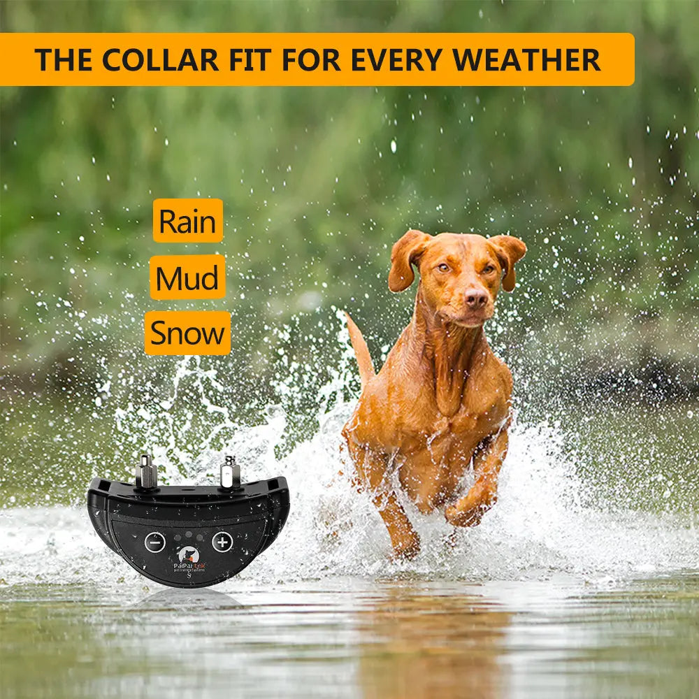 Automatic Pet Collar Paipaitek Automatic Pet Anti-Barking Training Collar WLP Company