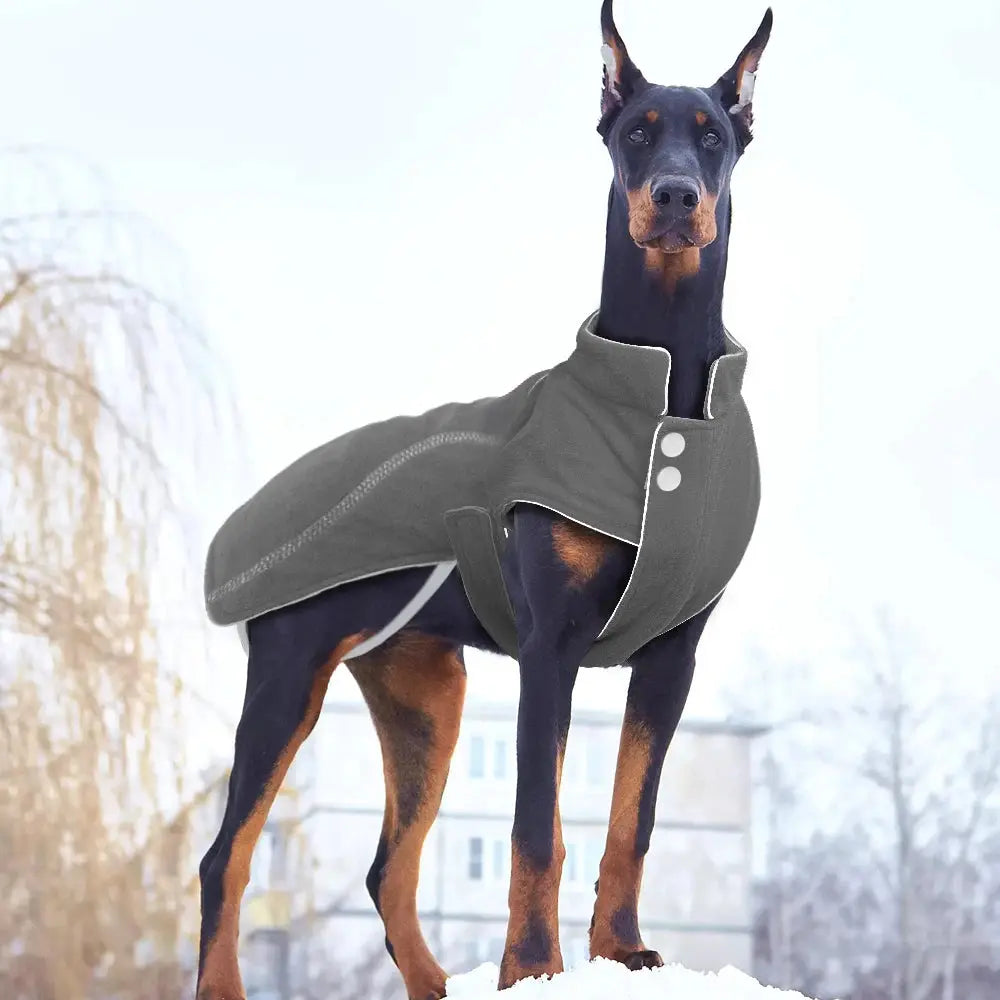 Bulldog winter jacket /Chihuahua Winter Jacket - Waterproof & Reflective WLP Company