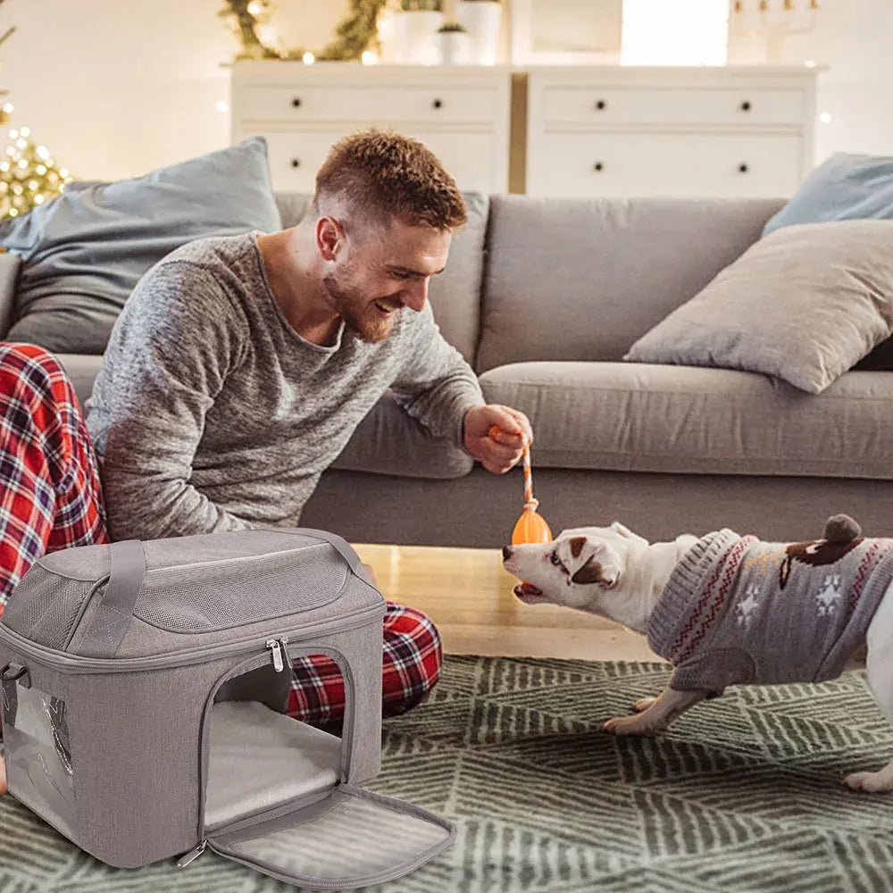 Dog Backpack Breathable Pet Portable Foldable Carrier Bag Travel Airline Approved Transport Bag For Small Dogs And Cats Outgoing WLP Company