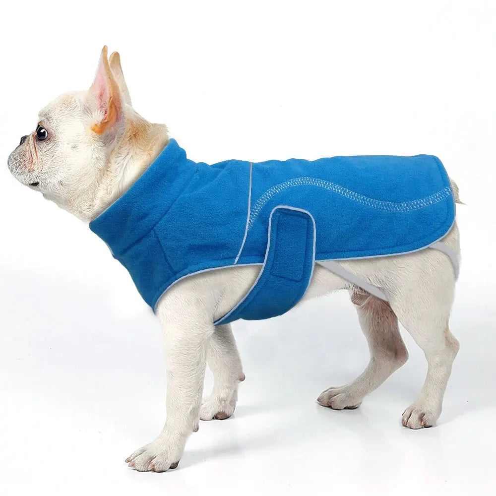 Bulldog winter jacket /Chihuahua Winter Jacket - Waterproof & Reflective WLP Company
